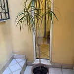 Biora