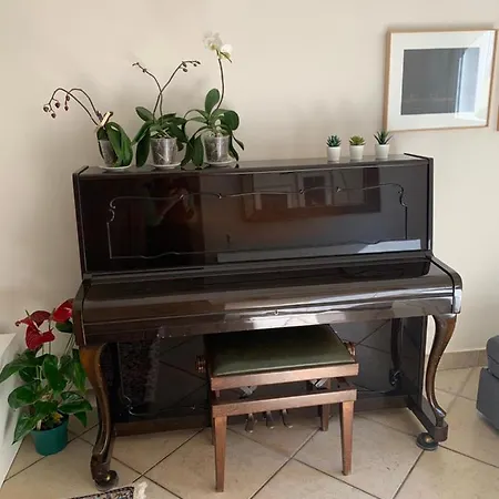 Apartment Biora
