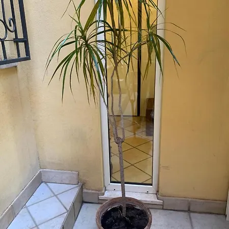 Biora